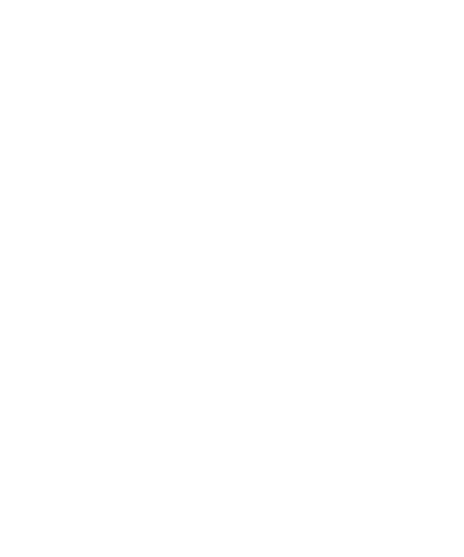 Liv Real Estate